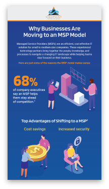 MSP model infographic cover